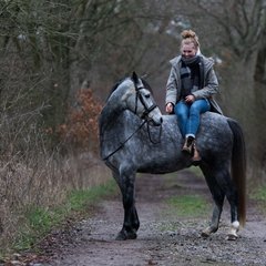 TIM_6471.JPG