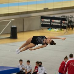 TIM_6375.JPG