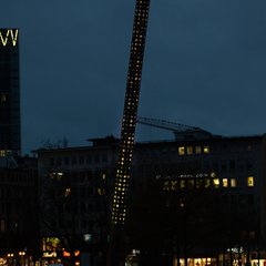 TIM_9919.JPG