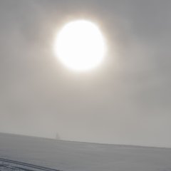 TIM_9740.JPG