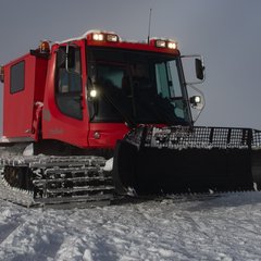 TIM_9755.JPG