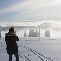 TIM_9786.JPG