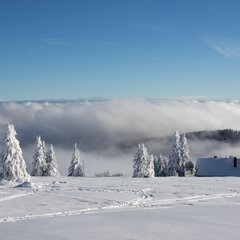 TIM_9816.JPG