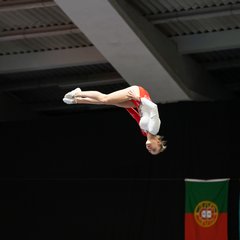 TIM00427.JPG