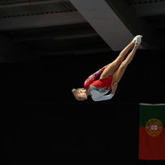 TIM00431.JPG