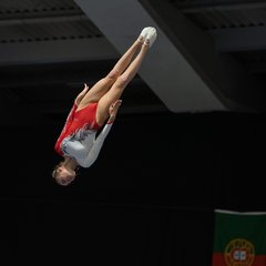 TIM00466.JPG