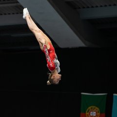 TIM00468.JPG