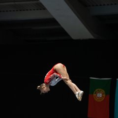 TIM00488.JPG