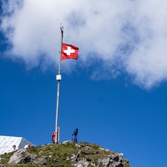 TIM06695.JPG