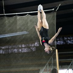 TIM06790.JPG