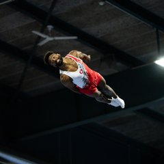 TIM07176.JPG