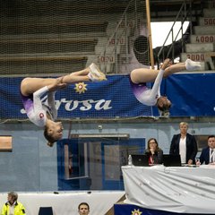 TIM08464.JPG