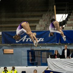 TIM08465.JPG