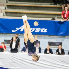 TIM09638.JPG