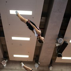 TIM07988.jpg