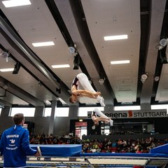TIM08105.jpg