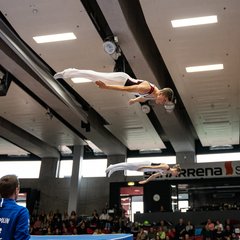 TIM08116.jpg