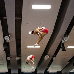 TIM08215.jpg