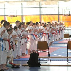 IMG_1309.JPG