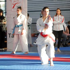 IMG_1341.JPG