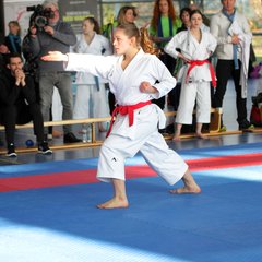 IMG_1649.JPG