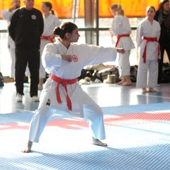 IMG_1781.JPG