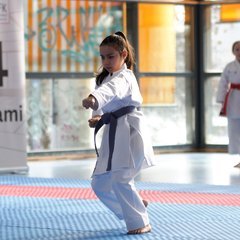 IMG_1855.JPG