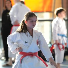 IMG_2061.JPG