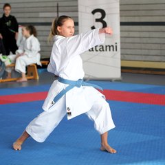 IMG_2154.JPG