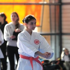 IMG_2203.JPG