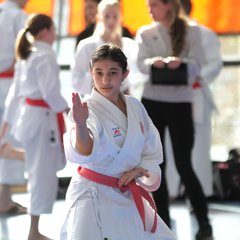 IMG_2241.JPG