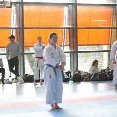 IMG_2529.JPG