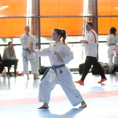IMG_2708.JPG