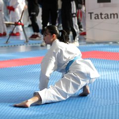 IMG_2764.JPG