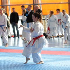 IMG_2795.JPG