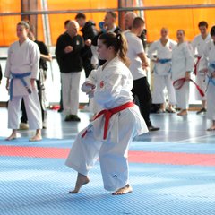 IMG_2801.JPG