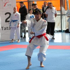 IMG_2889.JPG