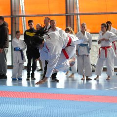IMG_2892.JPG