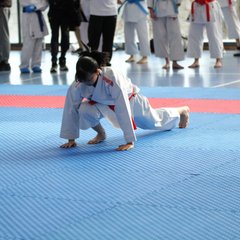 IMG_2896.JPG