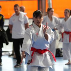 IMG_2900.JPG