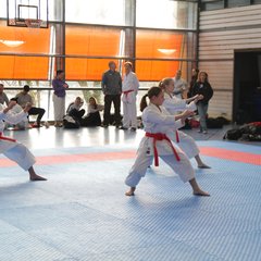 IMG_2916.JPG