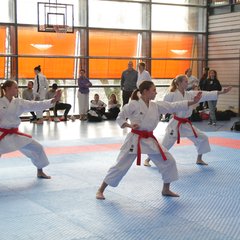IMG_2920.JPG