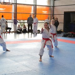 IMG_2926.JPG