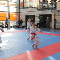 IMG_2938.JPG