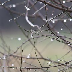 img_4169.jpg