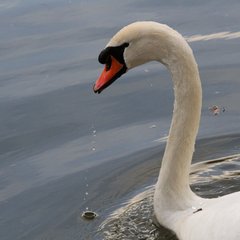 img_5481.jpg