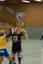 3. Handball Bundesliga Damen
