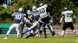 Darmstadt Diamonds gegen PST Trier Stampers
