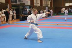 Offene Landesmeisterschaft Karate