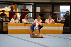 TIM08081